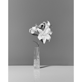 Lismore Bud Vase 18cm 7in