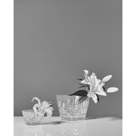 Lismore Bowl 13cm 5in