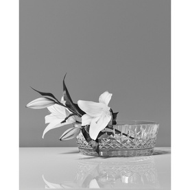 Lismore Low Bowl 25cm 10in