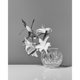 Lismore Rose Bowl 20cm 8in