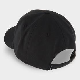 Arctic Disc Baseball Cap