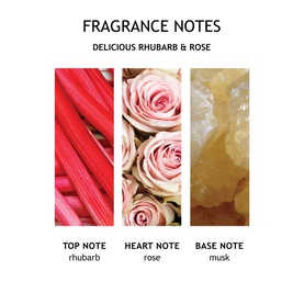 Delicious Rhubarb & Rose Fine Liquid Hand Wash Glass Bottle