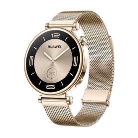 Watch GT4 41mm Gold Milanese