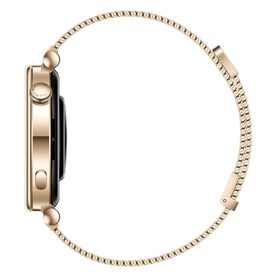 Watch GT4 41mm Gold Milanese