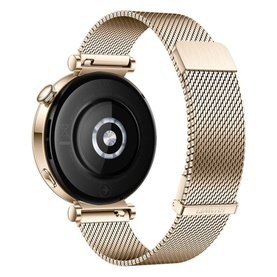 Watch GT4 41mm Gold Milanese