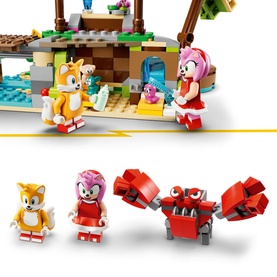 Amy's Animal Rescue Island