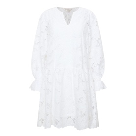 Lay Embroidered Mini Dress