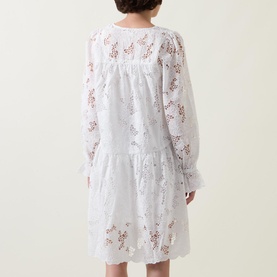 Lay Embroidered Mini Dress
