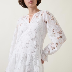 Lay Embroidered Mini Dress
