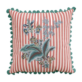 Cushion Rubus Raspberry