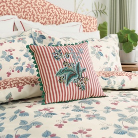Cushion Rubus Raspberry