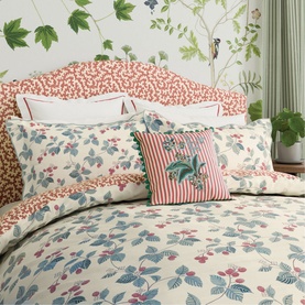Cushion Rubus Raspberry