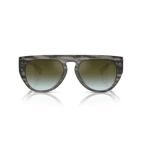 Pilot Sunglasses FH2005U