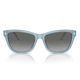 Cat Eye Sunglasses EA4227U