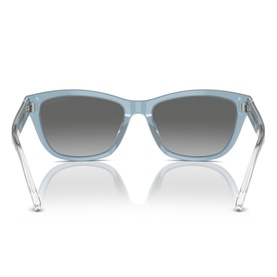 Cat Eye Sunglasses EA4227U