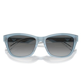 Cat Eye Sunglasses EA4227U