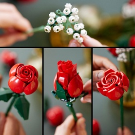 Bouquet of Roses
