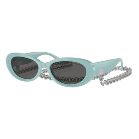 Oval Sunglasses TF4221
