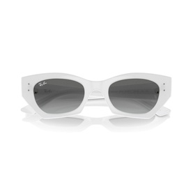 Irregular Sunglasses RB4430 Zena Bio-Based