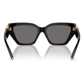 Cat Eye Sunglasses TF4218