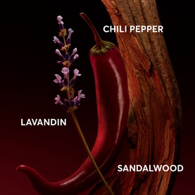 The Scent Elixir for Him Eau de Parfum