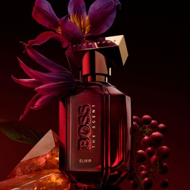 The Scent Elixir for Her Eau de Parfum