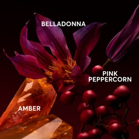 The Scent Elixir for Her Eau de Parfum