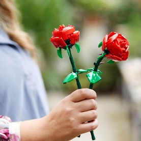 Roses