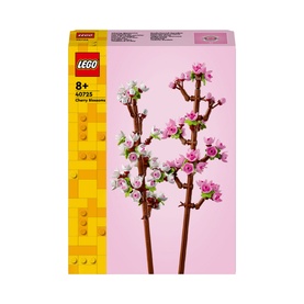Cherry Blossoms