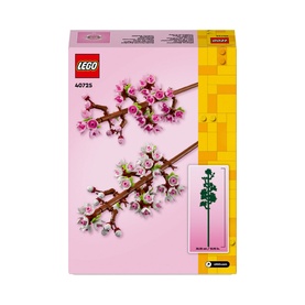 Cherry Blossoms