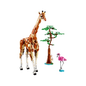 Wild Safari Animals