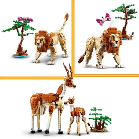 Wild Safari Animals