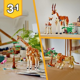 Wild Safari Animals