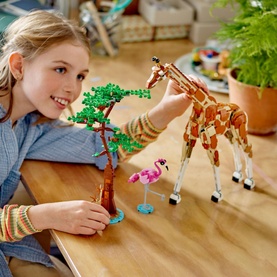 Wild Safari Animals