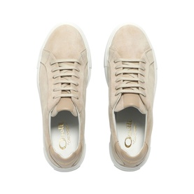 Charming Platform Trainers