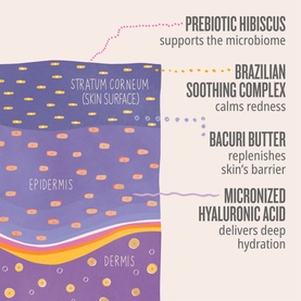 Delicia Drench Body Butter