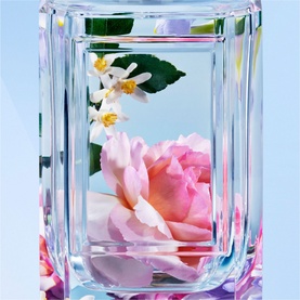 Pink Flamingos Eau de Parfum