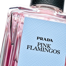 Pink Flamingos Eau de Parfum