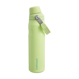 The Citron IceFlow&trade; Fast Flow Bottle 0.6L