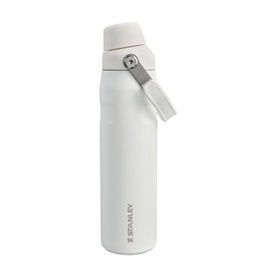 The Frost IceFlow&trade; Fast Flow Bottle 0.6L