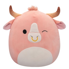 Squishmallows Surprise Plush Toy 40cm