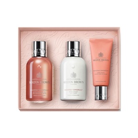 Heavenly Gingerlily Travel Body & Hand Gift Set