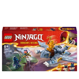 Ninjago&reg; Dragons Rising Young Dragon Riyu