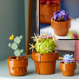 Botanical Collection Tiny Plants