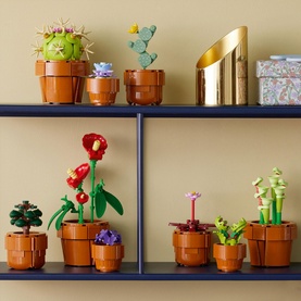 Botanical Collection Tiny Plants