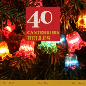 Noma 40 LED Canterbury Belle String Lights in multicolour, bell-shaped plastic covers on green cable, lit on Christmas tree.