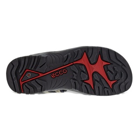 Offroad Hiking Sandals