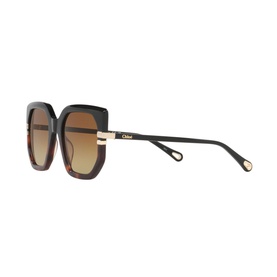 Butterfly Sunglasses 6N000531