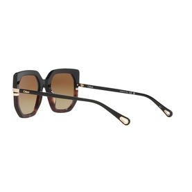 Butterfly Sunglasses 6N000531