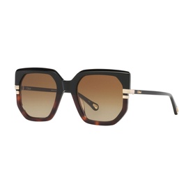 Butterfly Sunglasses 6N000531